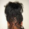 Amy's Exotic Braids