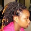 Amy's Exotic Braids